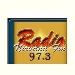 36087_Radio Nirvana FM.png